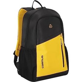 Flaunt 29 L Polyester Casual Backpack