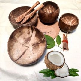 OnEarth Coconut Shell Bowl - Family Pack (4 different sizes)